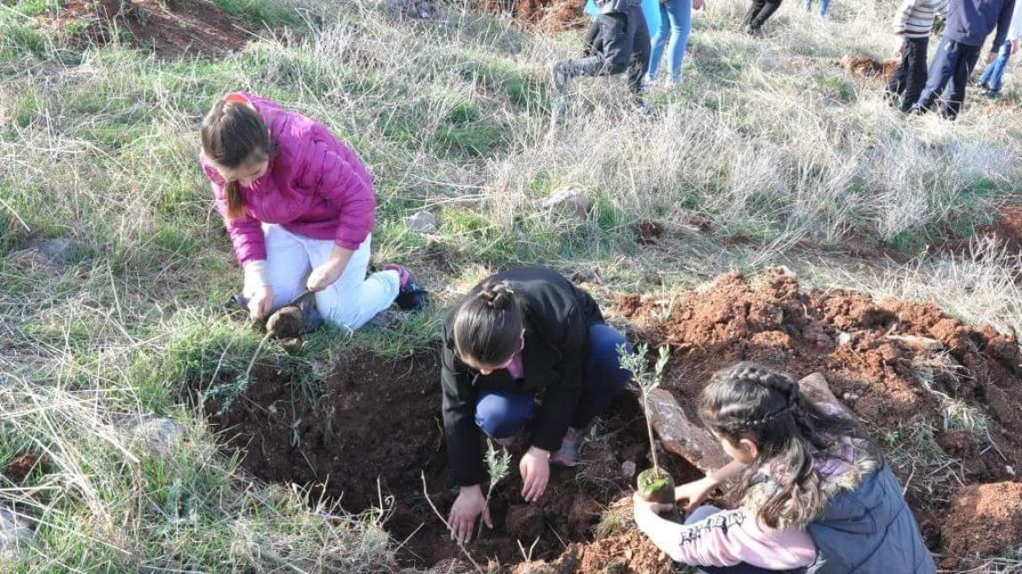 YEŞİL VATAN BENİM OKULUM GELECEĞE ÇARE  PROJESİ AĞAÇ DİKİM ETKİNLİĞİ
